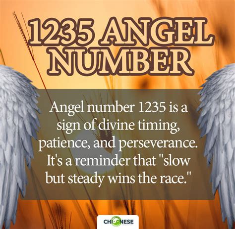 1235 angel number meaning|1235 Angel Number: Surprising & Powerful Meanings